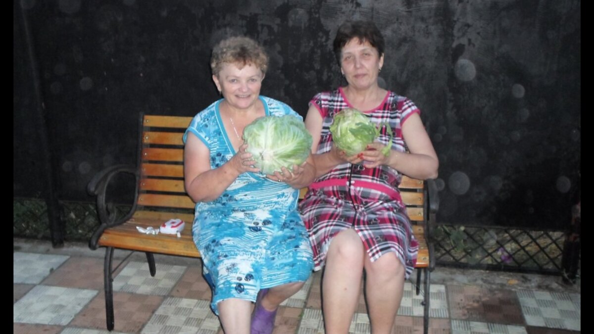 А это мы вечером в Крыловской демонстрируем мой урожай капусты.