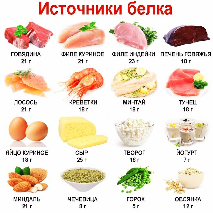 Главные источники белка