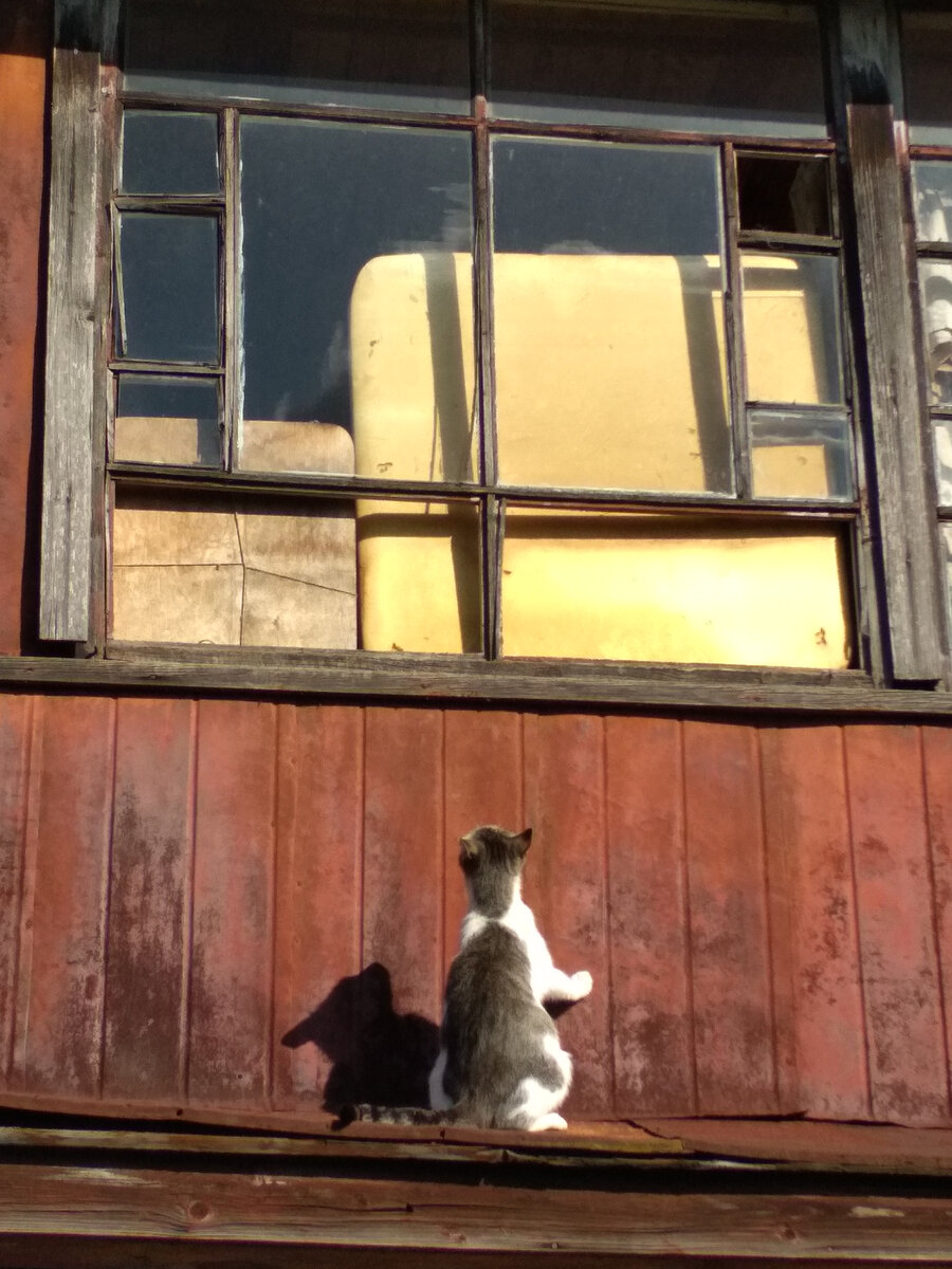 Злоумышленник