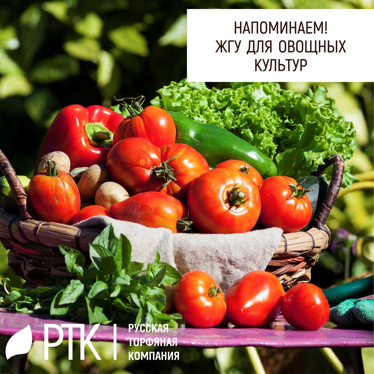    Вы будете удивлены, думаем будете удивлены. Но есть такие огородники, которые подкармливают свои огороды квасом. И не только квасом, в ход идут кефир, чай, пиво, и прочие напитки. Естественно, что все они разводятся водой в разных пропорциях. Чего они хотят этим добиться? 
Мы предполагаем, что они хотят этим добиться хорошего роста растений и больших урожаев. И по ходу их мыслей такими добавками они хотят активировать процессы, происходящие в земле. Логика понятна.
А Русская Торфяная Компания знает, что активная конвекция в земле происходит только с водой. То есть, вода в конвекции участвует и выпаривается, за счёт этого процесса растения и растут, а всё остальное остаётся, как есть, или выступает на поверхности белой солевой «корочкой». Как-то так… Ну а порядочным огородникам корочка не нужна, им нужен урожай.   Особенно это касается всех любимых нашими огородниками овощей:  помидоров, огурцов, кабачков, перцев, тыкв.
И как раз вот тут опять стоит вспомнить о Жидких Гуминовых Удобрениях, которые производятся Русской Торфяной Компанией в виде концентрата, и которые при правильном использовании дадут фору любому напитку. Даже самому изощрённому.
   Почему? А потому, что ингредиенты наших ЖГУ вместе с водой с лёгкостью курсируют по корневой системе любых растений и с радостью ими усваиваются. Это просто. 
Вырастет всё!
 #РТК #ЖГУ #почвогрунты #жгудляовощей

