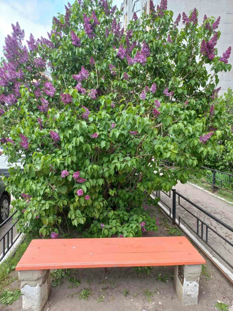 Фото автора.