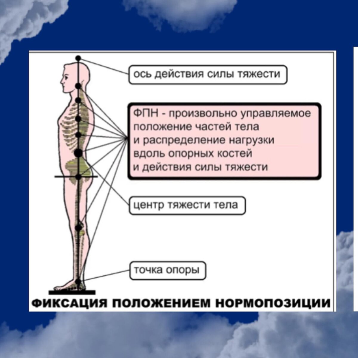 Как справиться с гравитацией | Ольга *ЙОГА* Котова | Дзен