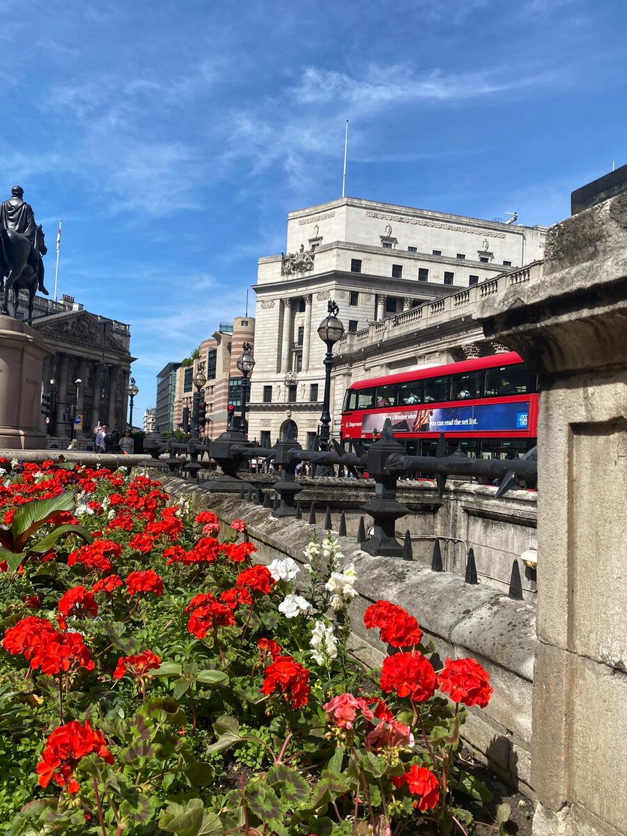 фото Лара Мартин 