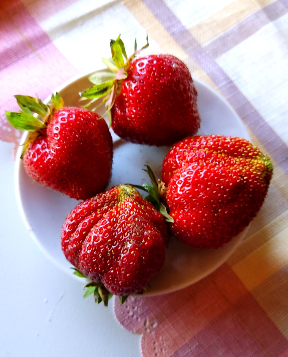 Клубника. Блюдце кофейное, но и ягоды не маленькие. 