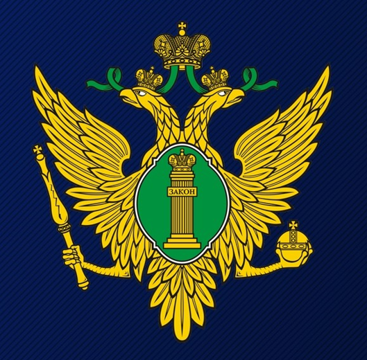 Рис. 1. Эмблема Министерства юстиции Российской Федерации (Минюста России)