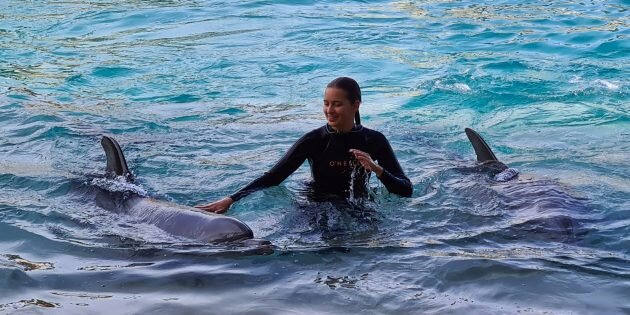 Изображение: Nico Smit / Unsplash📷
