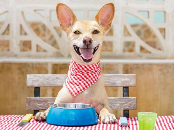 Источник фото Pinterest.