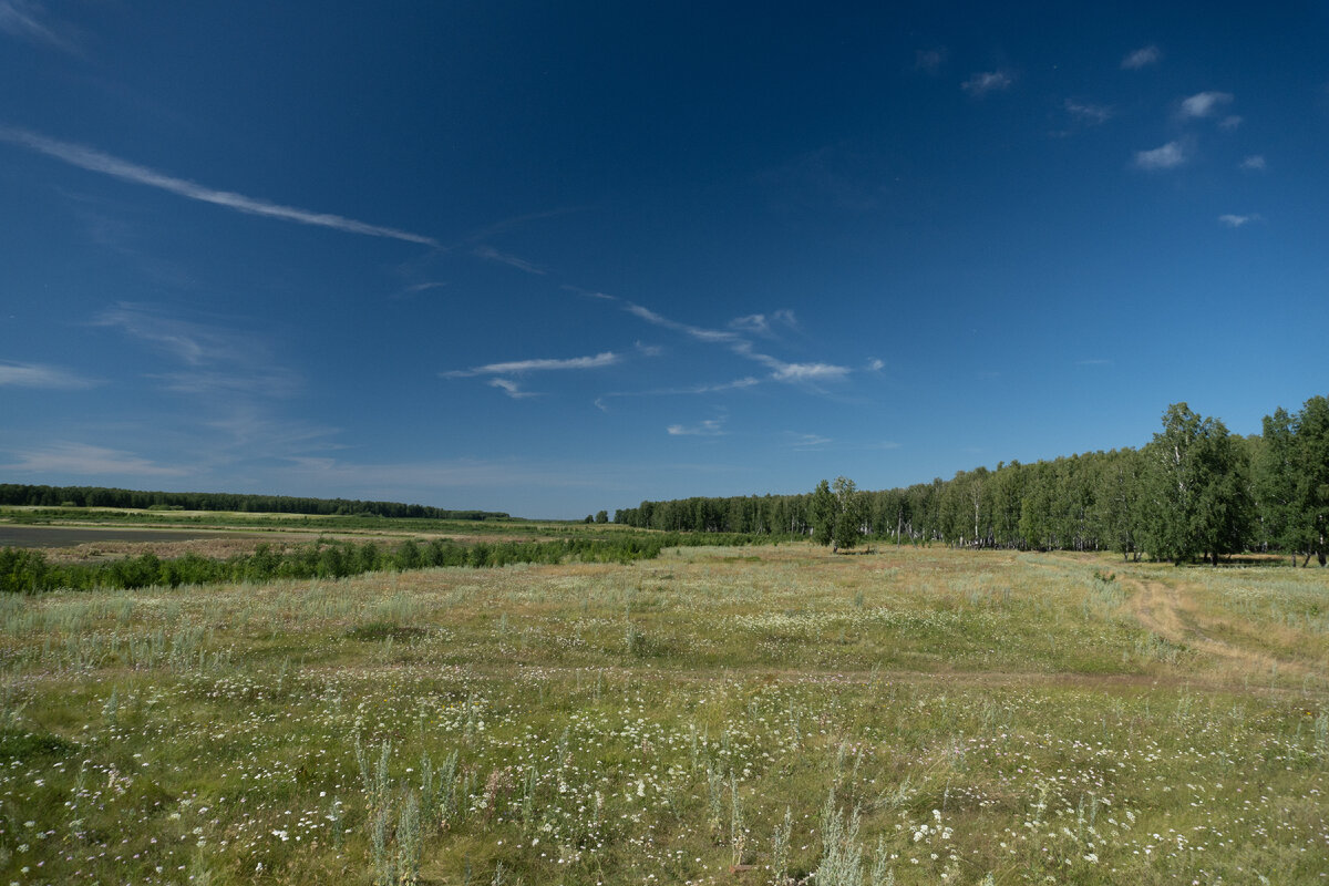 Берег озера и соседняя берёзовая роща