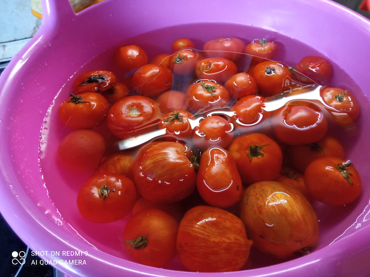 фото автора, помидоры в воде