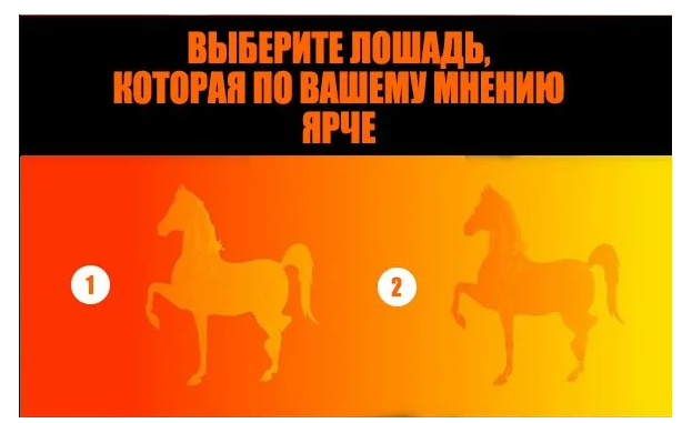 Изображение взято с открытых источников
