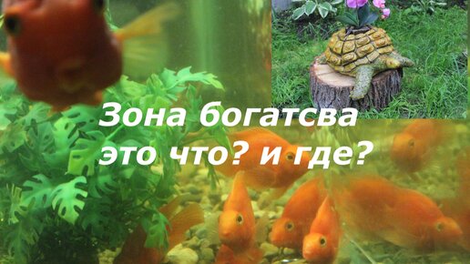 Что можно подарить Рыбе мужчине или женщине — идеи подарков для Рыб по знаку зодиака