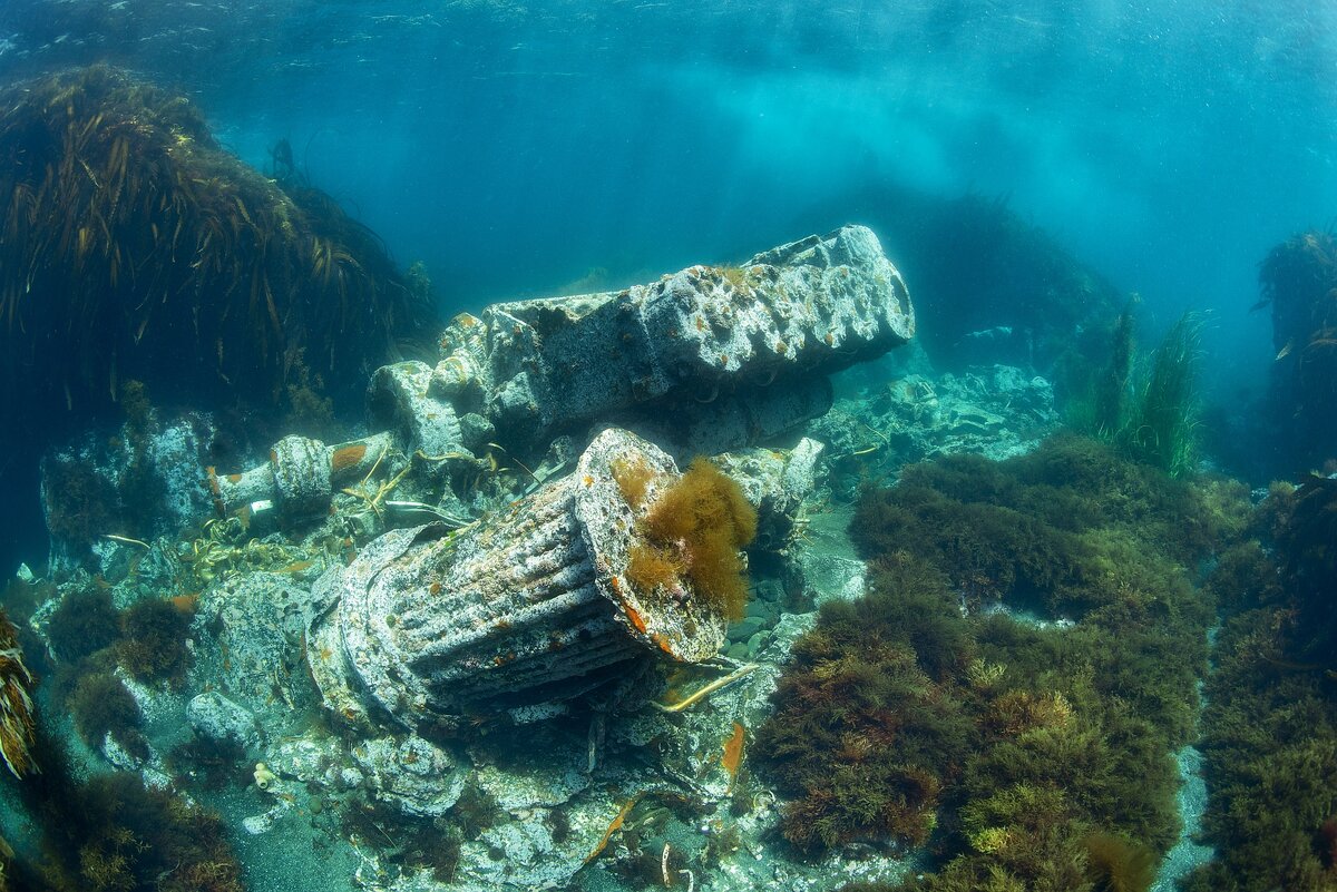 Ocean school. Остров Монерон дайвинг. Галиотис Монерон. Монерон острова японского моря. Подводный мир Монерона.