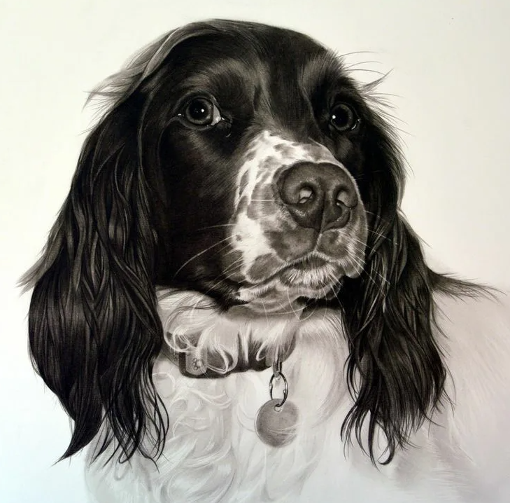 Это не та собака. Но чем-то похожа. Может глазами? Тоже грустные.