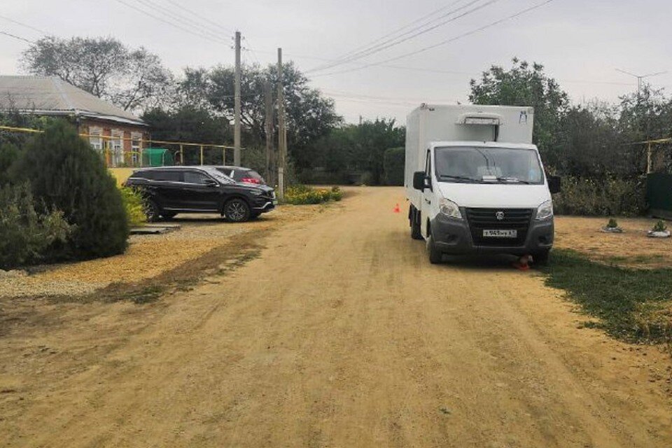     В Ростовской области грузовик сбил 11-летнюю девочку. Фото: ГИБДД по РО.
