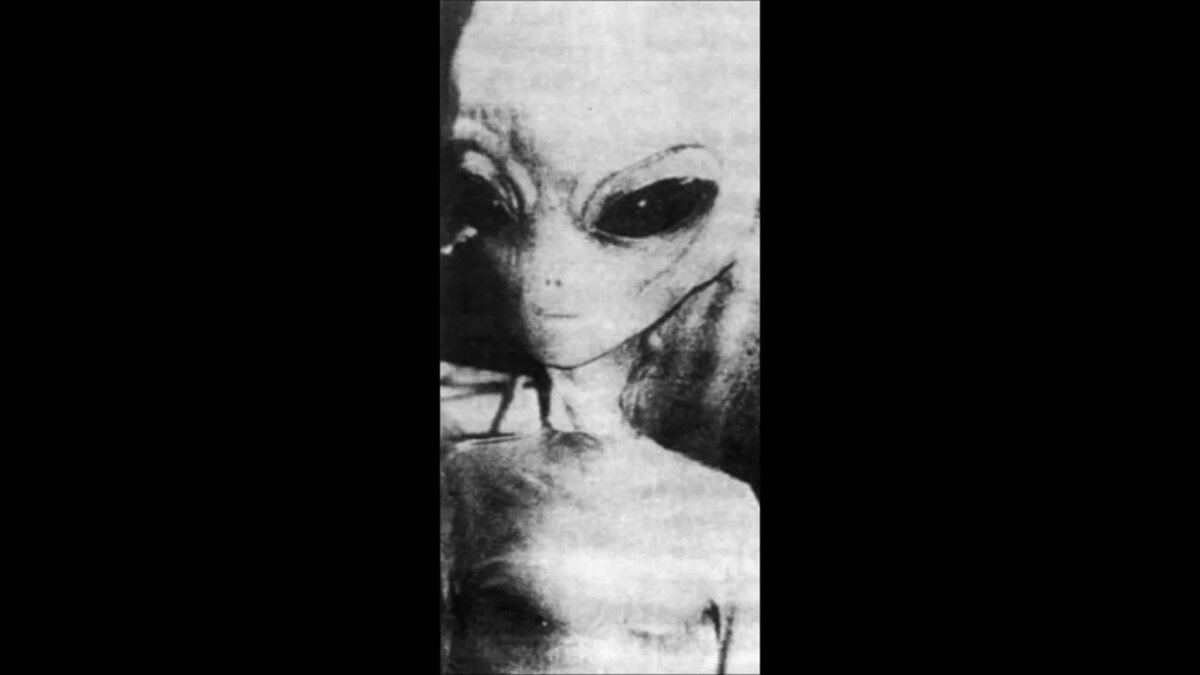 EBE-1. Снятый на фотоловушку