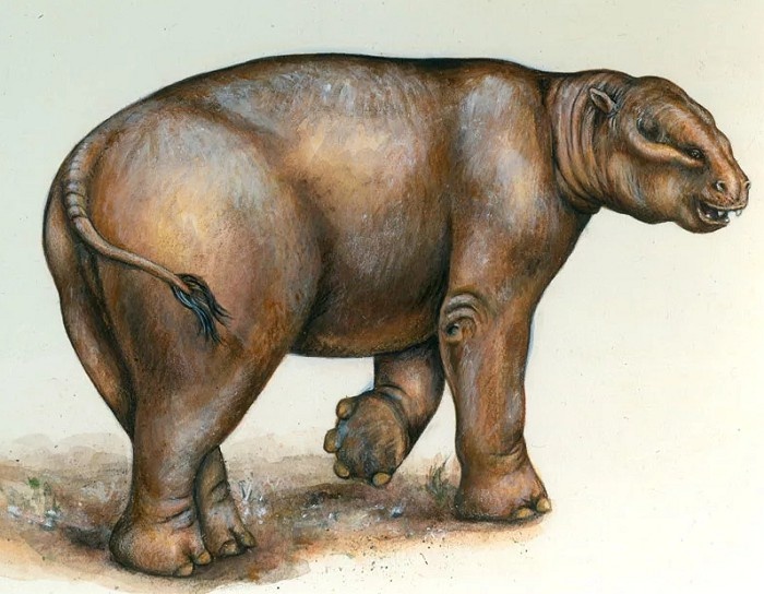 Источник: sitekid.ru