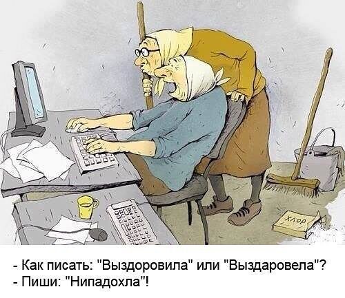 фото из открытых источников интернет
