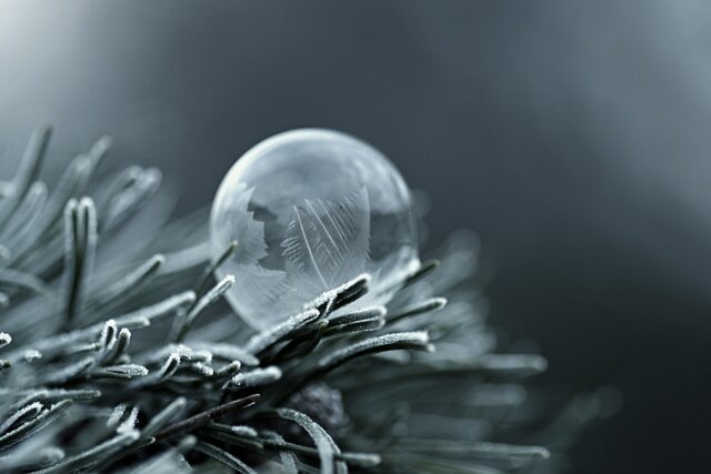    Мороз (cc) Anyt_Havaub