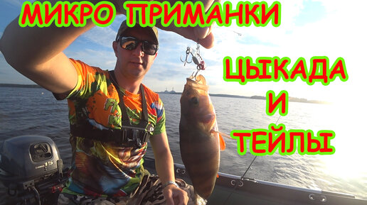 Рыбалка Омск: прогноз клева, фион 55