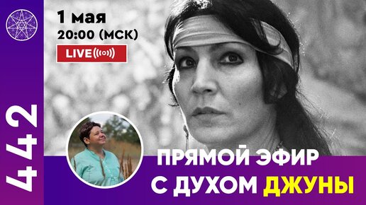 Проект кассиопея ирина подзорова