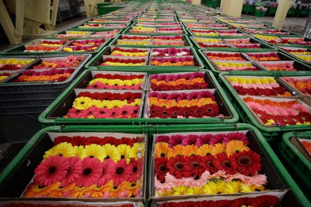 Фото: Россельхознадзор