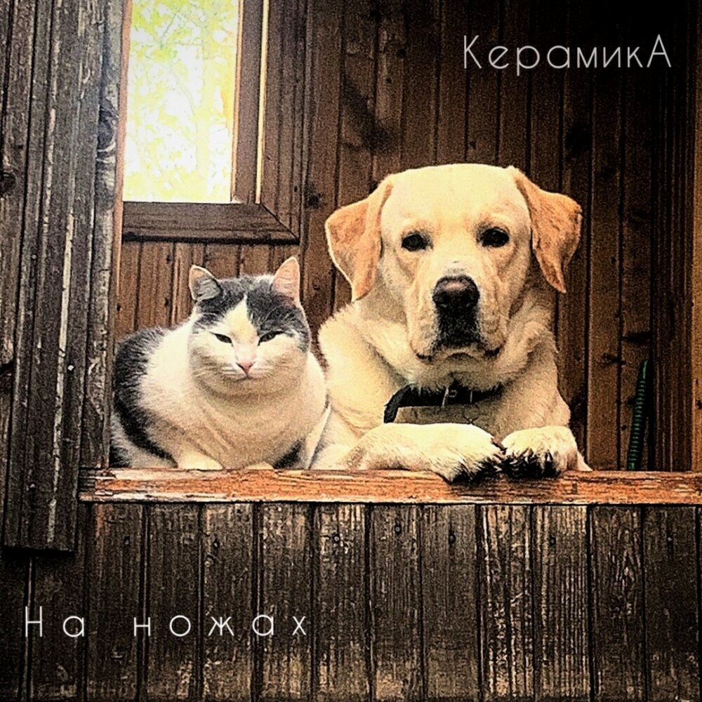 КерамикА - На ножах, 2022, ДЖЕМ