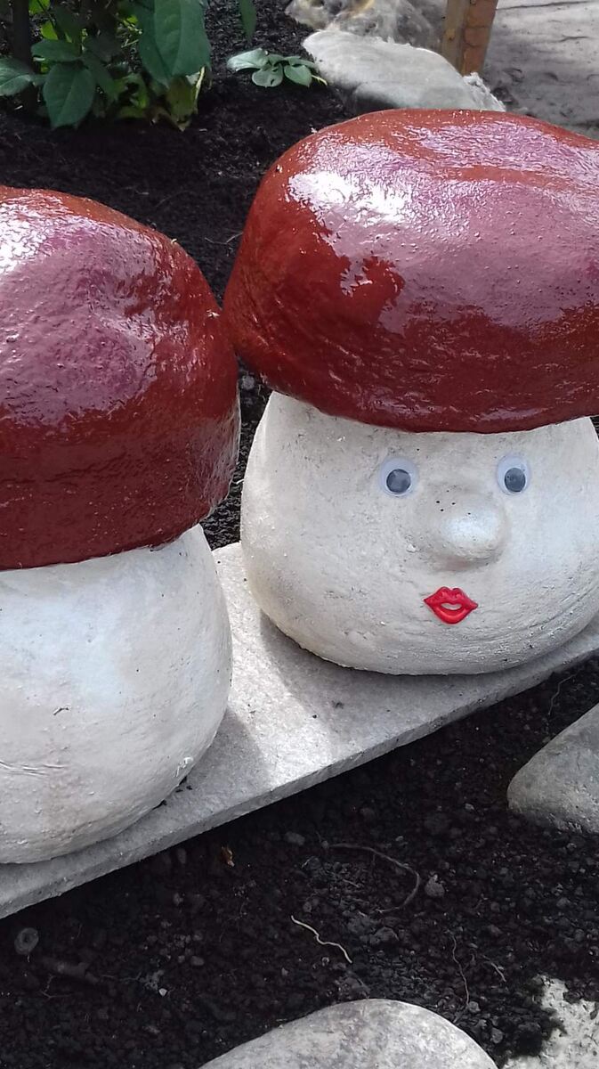 Боровички готовы