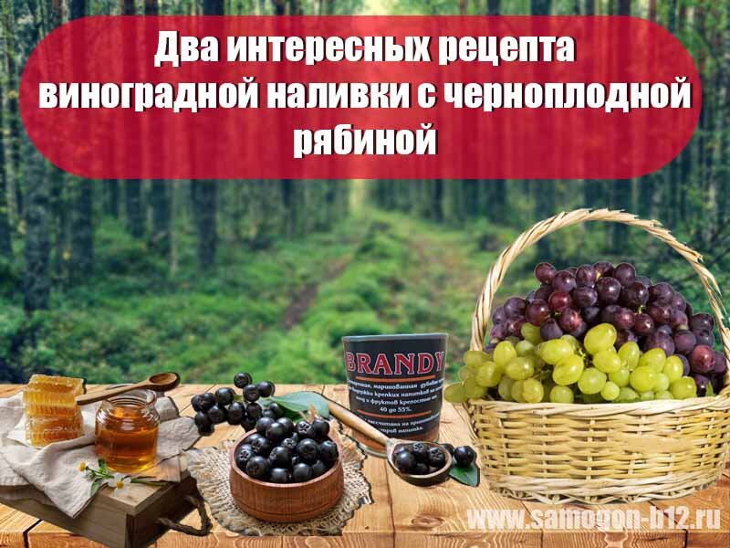 Два интересных рецепта виноградной наливки с черноплодной рябиной.