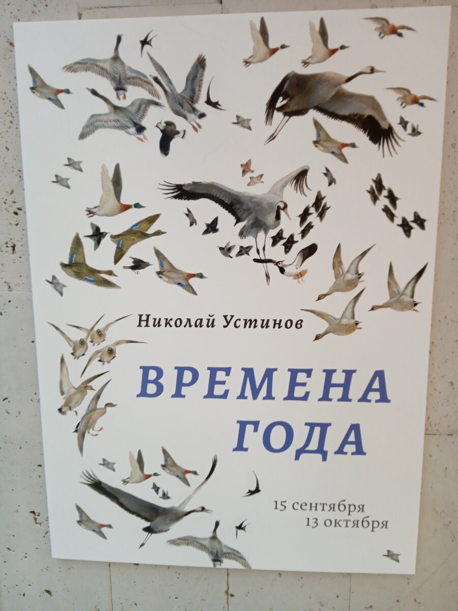 Афиша выставки