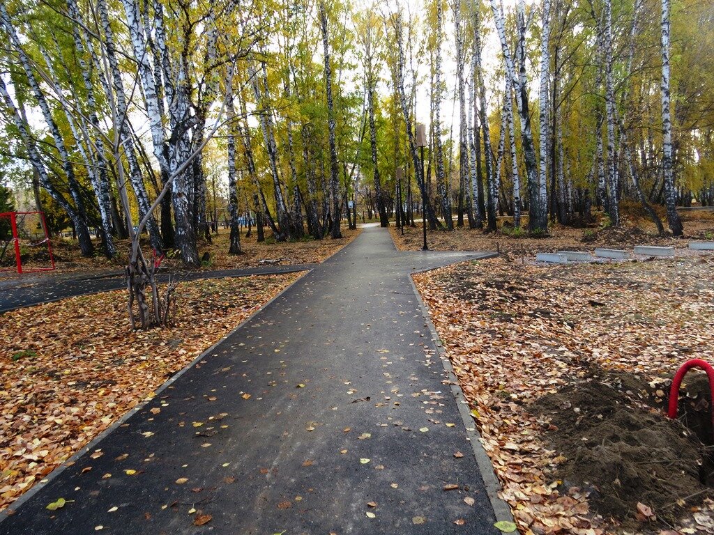 Парк бердск фото. Экопарк Бердск. Экопарк Бердск школа 11. Экопарк Бердск проект. Центральный парк Бердск.