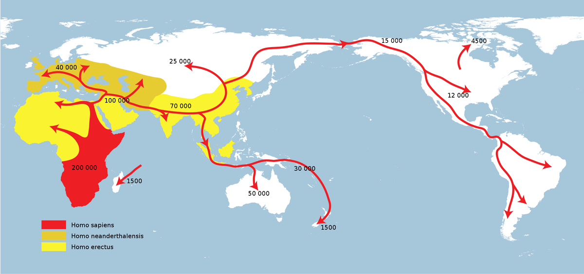 Карта ранних миграций человека / © Altaileopard / ru.wikipedia.org