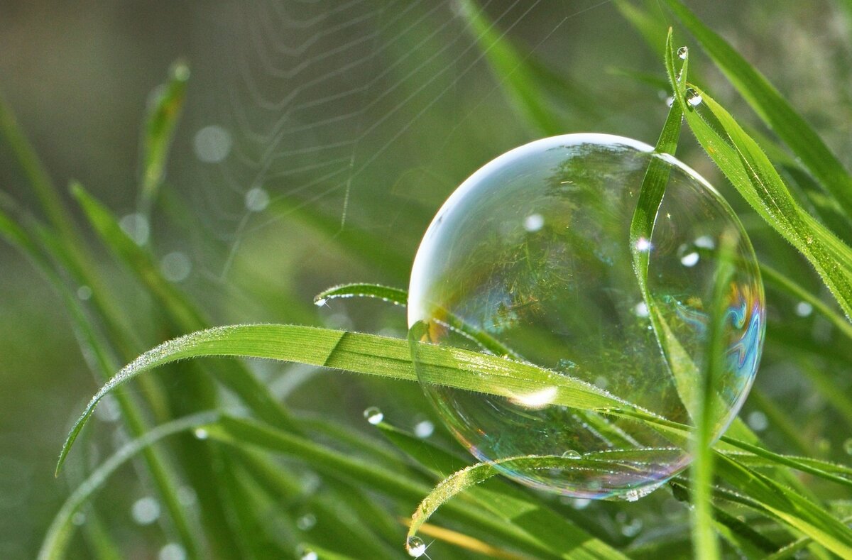 Фото из открытых источников сети Интернет