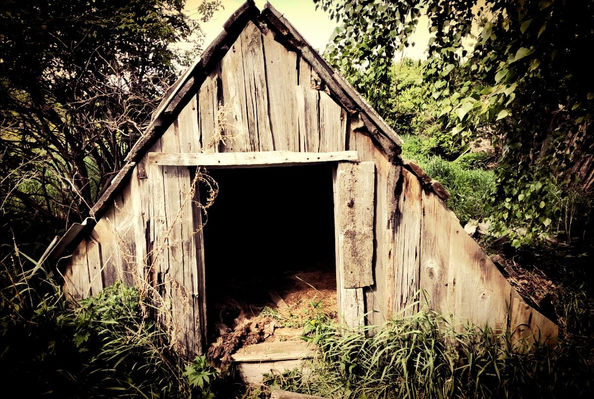 Яндекс Картинки 