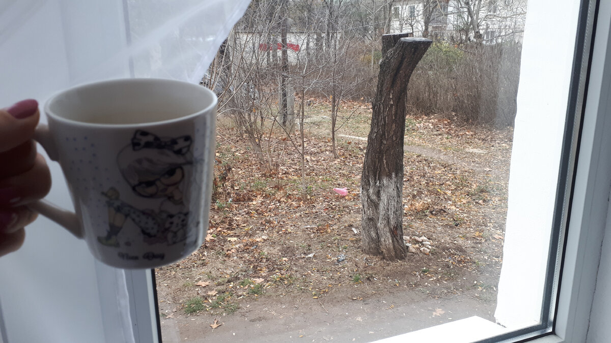 Вообще не зима за окном