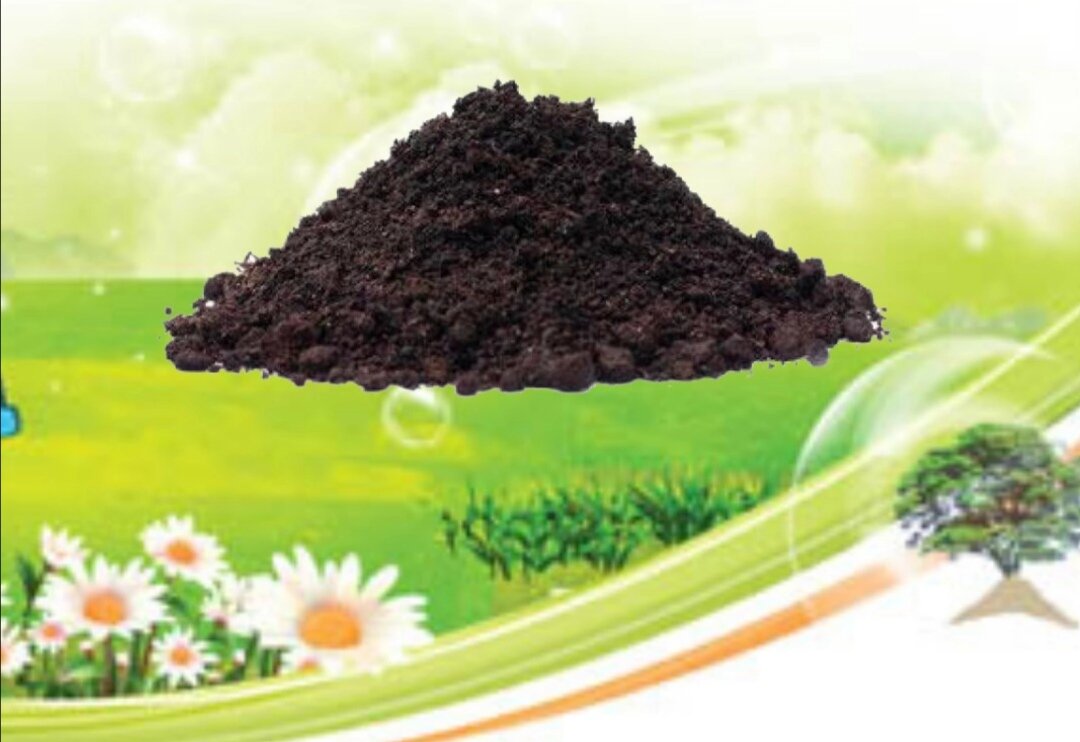 Грунт должен быть живым — содержать полезную для растений микрофлору.