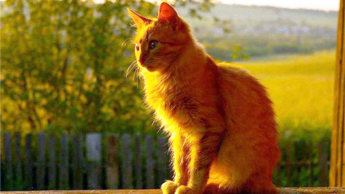 источник фото: riastrela.ru