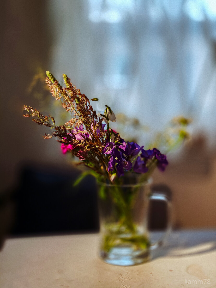 iPhone 11 Pro back dual camera 6mm f/2; ЭФР=52мм; 1/30; ISO 400