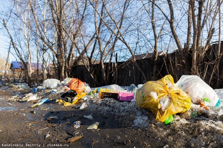    Фото: Дмитрий Кандинский / vtomske.ru