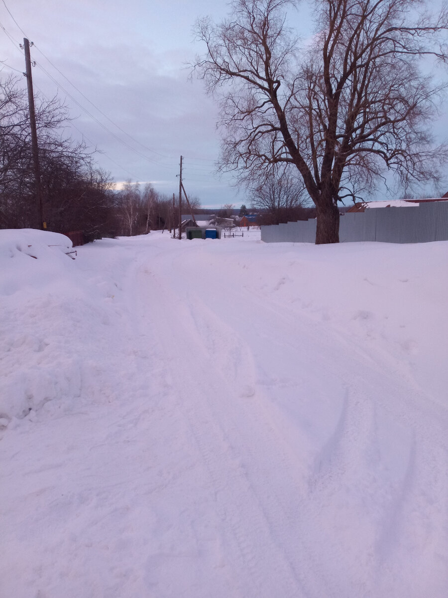 Деревня . Все в снегу. | Люблю деревню, но живу в городе | Дзен