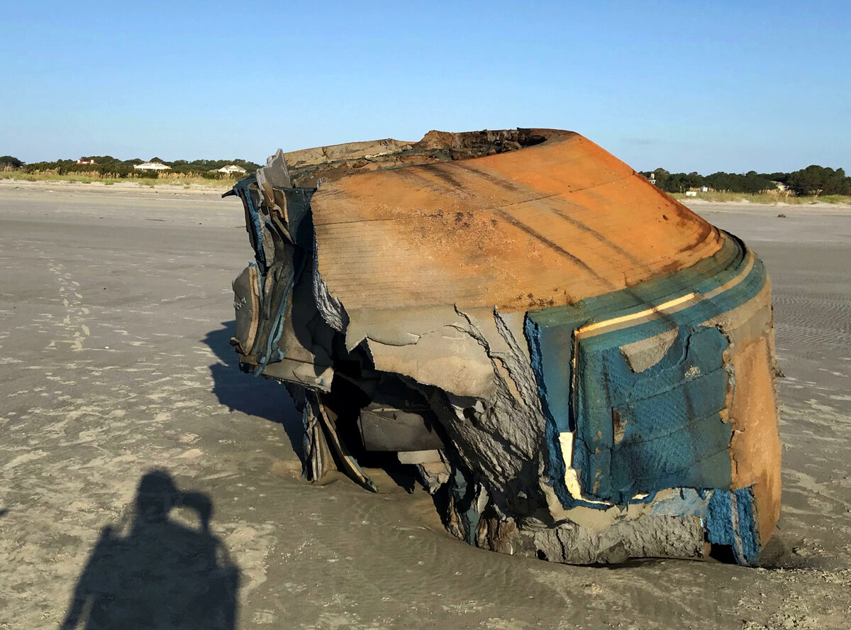 Фото: Lowcountry Marine Mammal Network