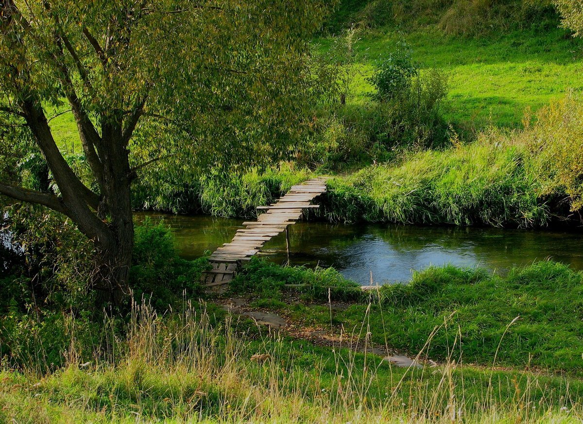 Яндекс.Картинки