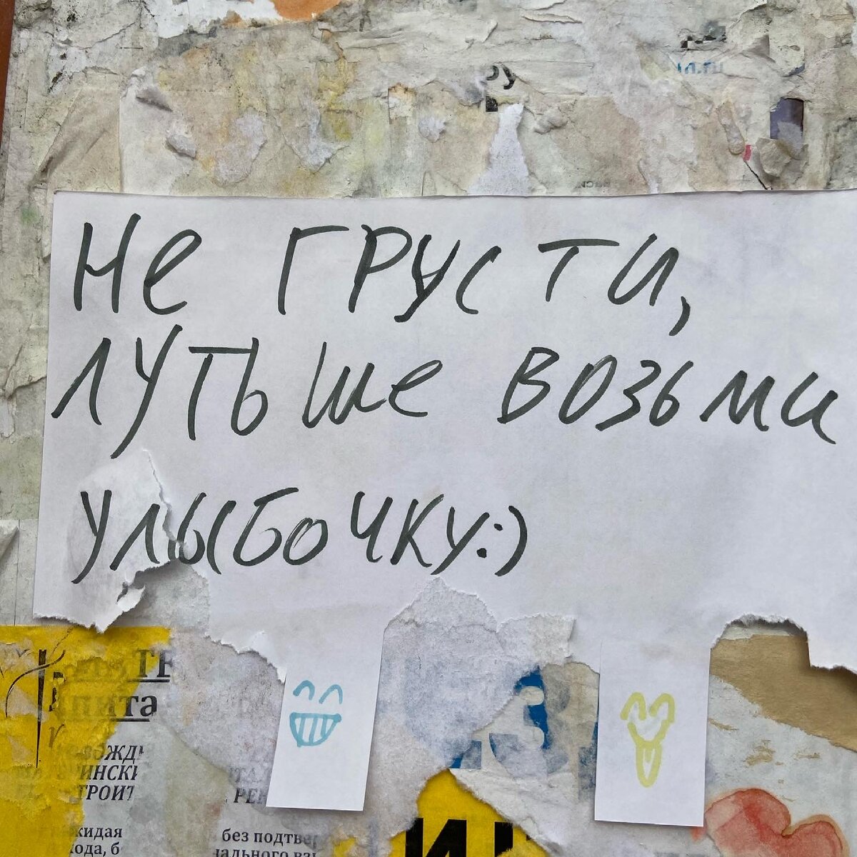 Объявление на доске у подъезда. Это очень мило и не может не вызвать улыбку.