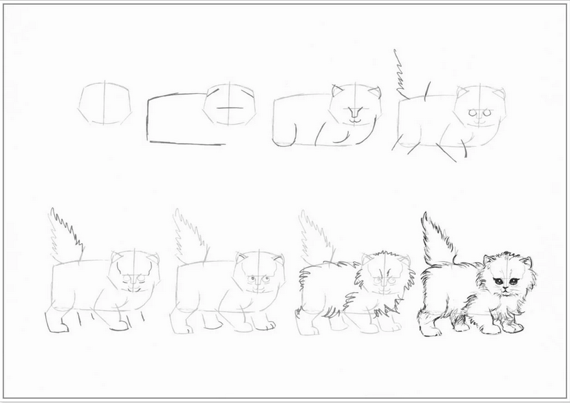 Пошаговый кот. Фото из открытых источников.