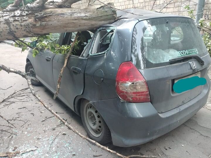 фото яндекс. картинки