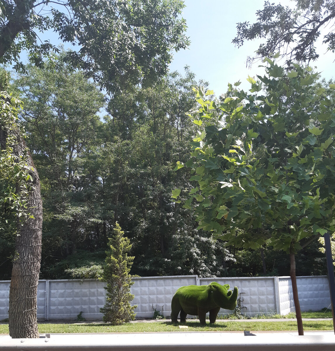 Фото сделано сегодня на ул.Мачуги в Краснодаре.