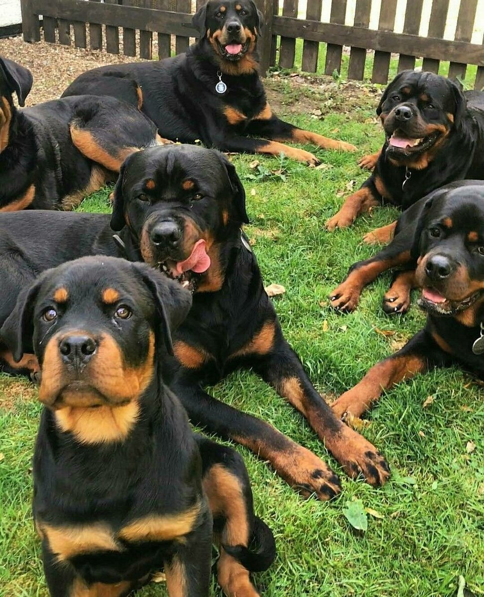 Фото из интернета