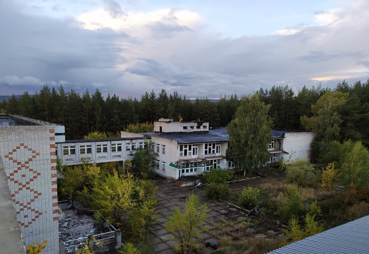 Дубки воскресенск официальный фото