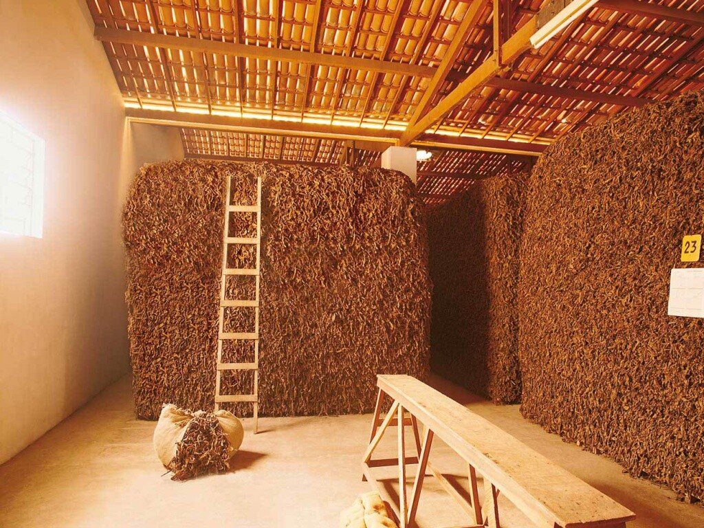 Фото из открытых источников.