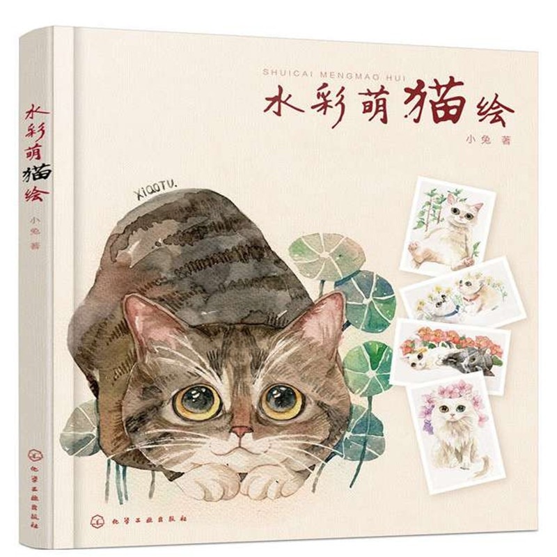 Котики