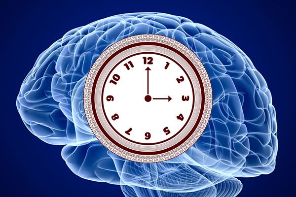 Быстрое движение времени. Мысленные часы. Сила мозга. Как замедлить время в мозгу. Нарисуй часы мышление взрослым.
